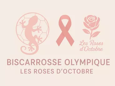 bohb-rose-octobre