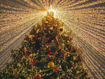 celebration-noel celebration-noel