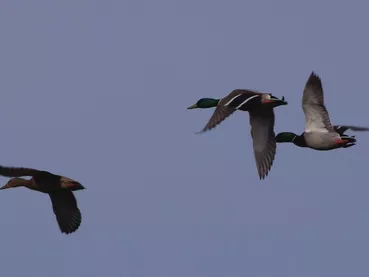 ©Catherine Kwasniewski (2)