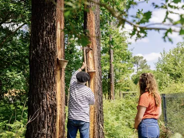 3-gemmage-bisca-grands-lacs-les-conteurs-24