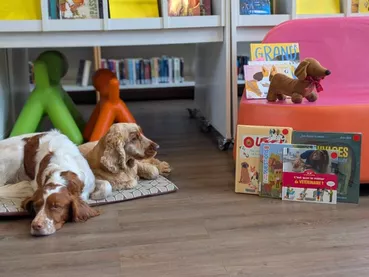 489625413_1079411037328779_513374990444393244_n