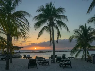 Plage caraïbes