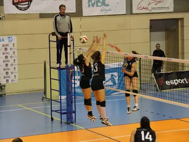 volley