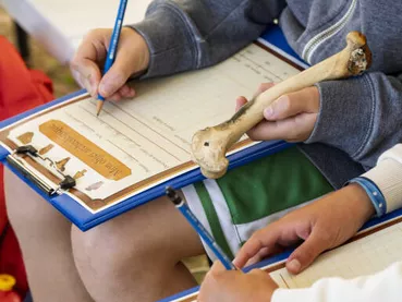 ateliers : découvrir l'archéologie