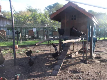 ferme-pédagogique-association-culturelle-biscarrossaise