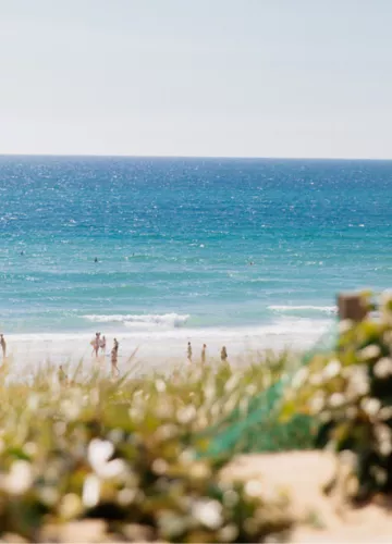 Plage oceane biscarrosse