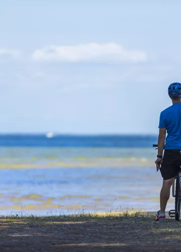 Lacs et vélo dans les landes