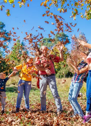 L'automne à Biscarrosse pendant les vacances