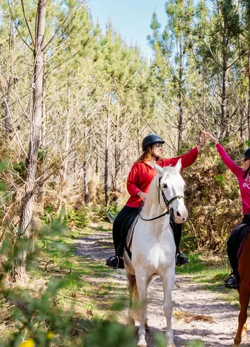 balade_cheval_foret_landes.jpg