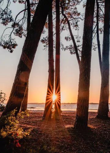 coucher-de-soleil-biscarrosse-lac.png