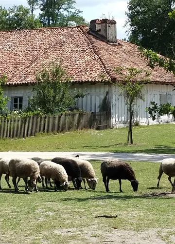 Ecomusée de Marquèze