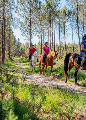Balade à cheval à Biscarrosse au Printemps