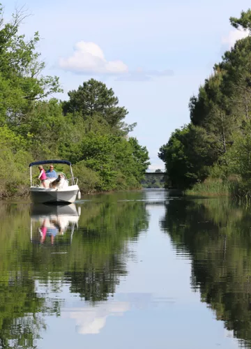 Pêcher sur les lacs landais