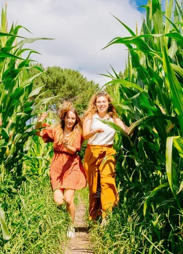 labyrinthe-mais-landes.jpg