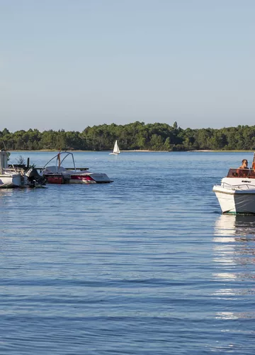 Découverte du lac de Sanguinet en bateau