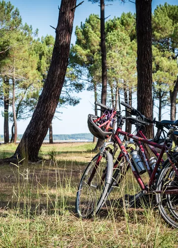 Partenaires des Grands Lacs à vélo 