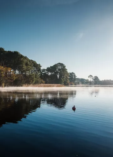 parentis_en_born-4089-yohan_espiaube.jpg parentis_en_born-4089-yohan_espiaube.jpg