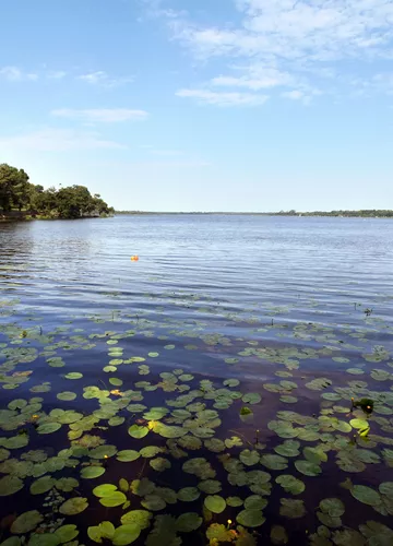 Pêche en eau douce sur le lac de Parentis