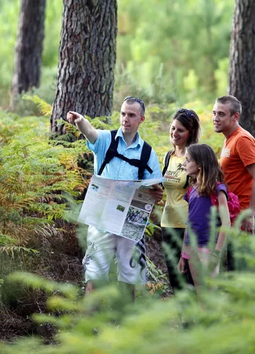 Randonnée pédestre en forêt