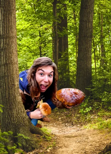 spots-champignons-biscarrosse-grands-lacs.png