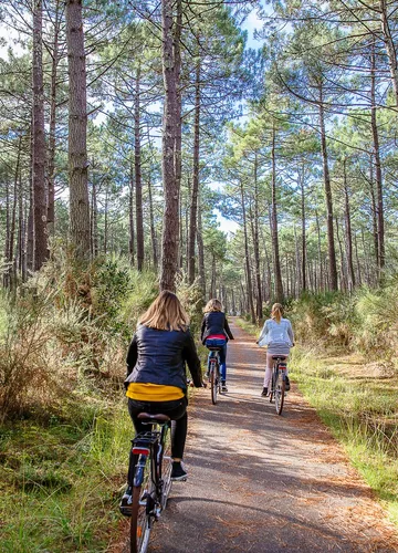 Vélo en forêt à Bisca Grands Lacs