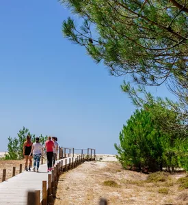 Le top des lieux à voir sur Biscarrosse et les Grands Lacs