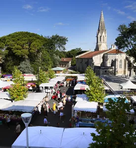 Les marchés autour de Biscarrosse