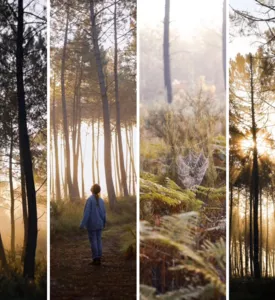 Notre top des photos de l'Automne