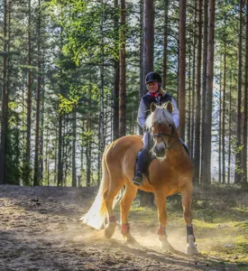 A pied, à vélo, à cheval