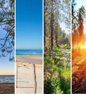 Notre top des photos du Printemps 