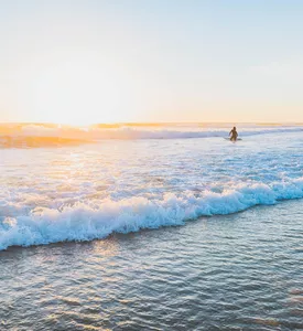 Biscarrosse, une destination 100 % Atlantique 