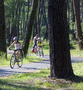 Vos vacances à vélo