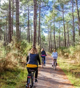 Des vacances à vélo inoubliables à Bisca Grands Lacs