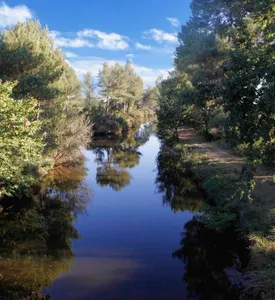 lac nord biscarrosse
