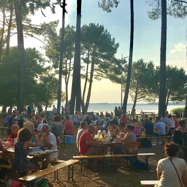 Repas au bord du lac de Sanguinet Repas au bord du lac de Sanguinet