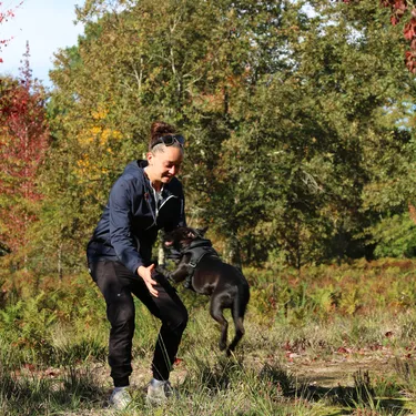 Se balader dans la forêt des Landes avec son chien