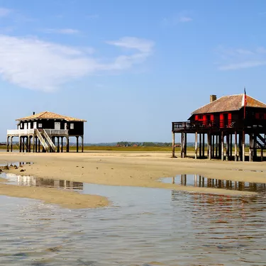 Les cabanes tchanquées du bassin d'Arcachon