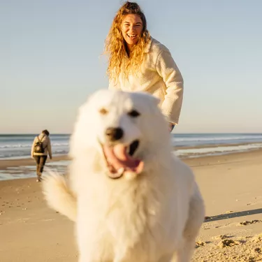 Promenade avec son chien sur les plages de Biscarrosse dans les Landes