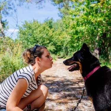 Aller au lac de Biscarrosse avec son chien