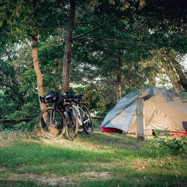 Camping avec chien à Biscarrosse Camping avec chien à Biscarrosse
