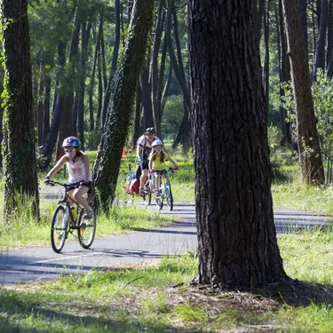 Balade vélo à Biscarrosse