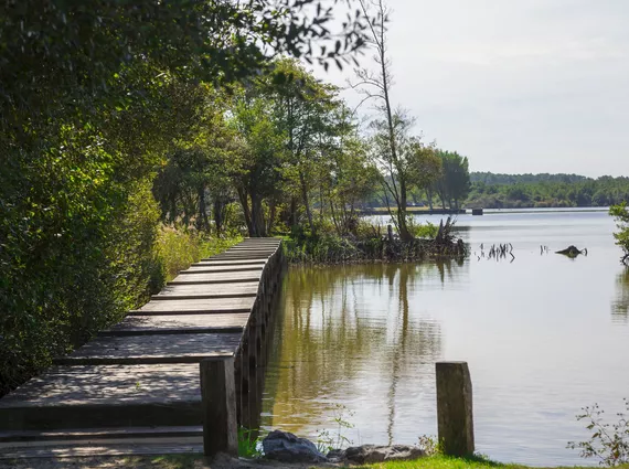 Bords du lac de Parentis en Born