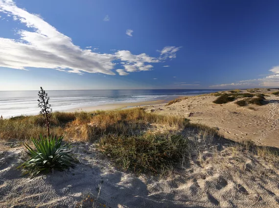 Dune et plage océanes à Biscarrosse