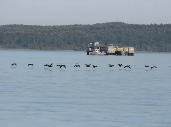 Le pétrole sur le lac de Parentis