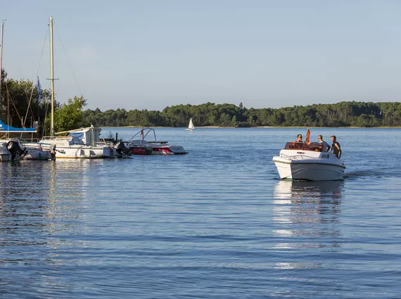 Découverte du lac de Sanguinet en bateau