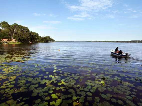 Pêche en eau douce sur le lac de Parentis