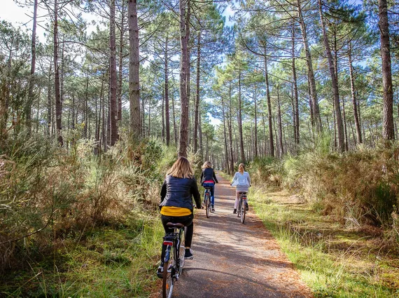 Vélo en forêt à Bisca Grands Lacs