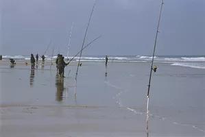 surfcasting