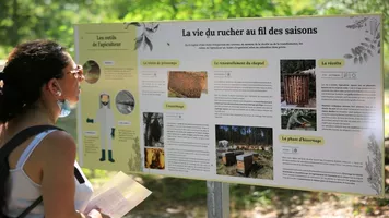 Les Ruchers du Born Visite de la ferme Les Ruchers du Born