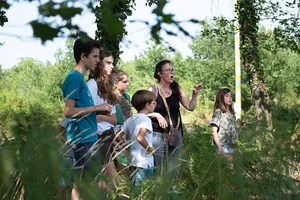 balade contée autour des arbres